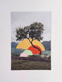 Collage of a tree photograph with colorful cut paper orbs integrated
