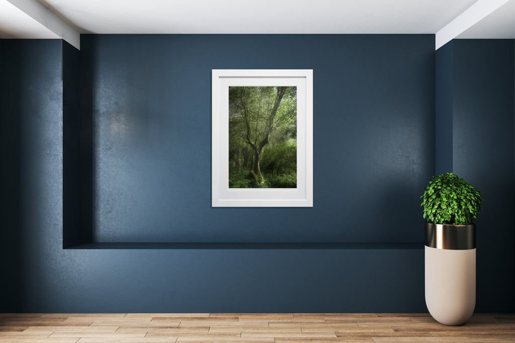 Fork Tree framed on blue wall