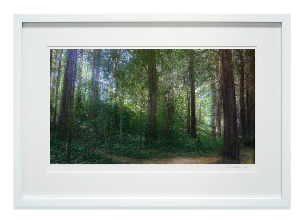 Light Waves in high gloss white wood frame with museum glass