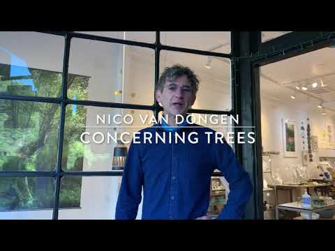 Watch as Nico Van Dongen talks about his Concerning Trees exhibit at Poet and/the Bench